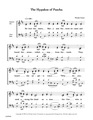 Ghp049_search